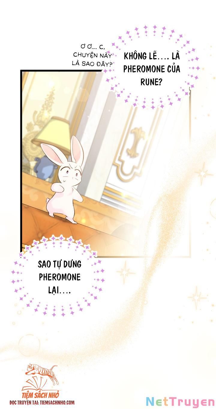 đọc truyện Mối Quan Hệ Cộng Sinh Giữa Báo Đen Và Thỏ Trắng Chương 63 ảnh 29 tại Thiên Thai Truyện