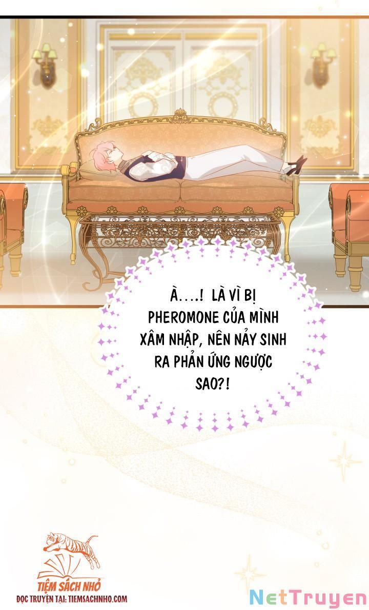 đọc truyện Mối Quan Hệ Cộng Sinh Giữa Báo Đen Và Thỏ Trắng Chương 63 ảnh 30 tại Thiên Thai Truyện