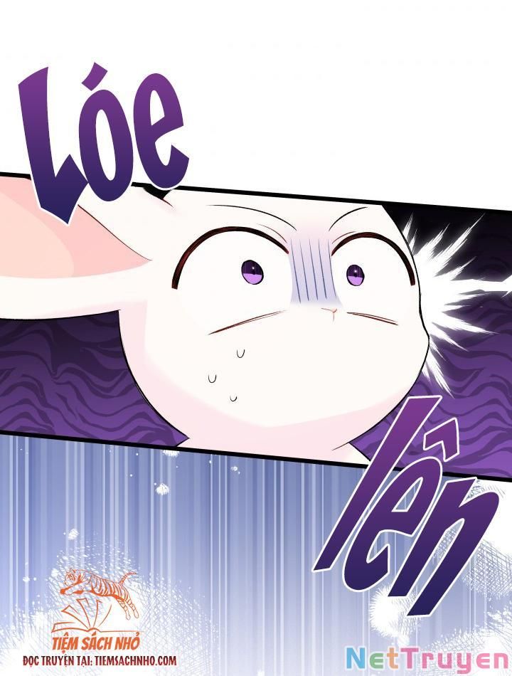 đọc truyện Mối Quan Hệ Cộng Sinh Giữa Báo Đen Và Thỏ Trắng Chương 63 ảnh 32 tại Thiên Thai Truyện