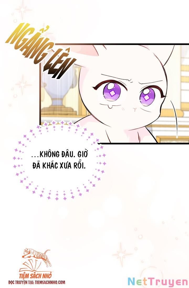 đọc truyện Mối Quan Hệ Cộng Sinh Giữa Báo Đen Và Thỏ Trắng Chương 63 ảnh 40 tại Thiên Thai Truyện