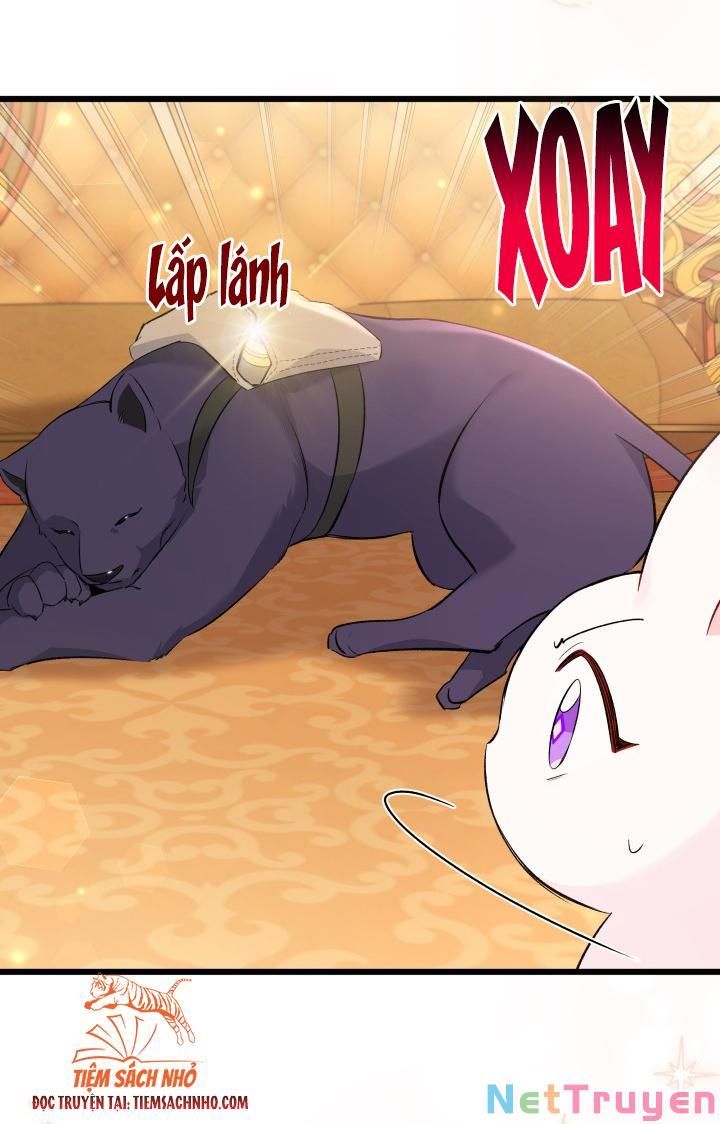 đọc truyện Mối Quan Hệ Cộng Sinh Giữa Báo Đen Và Thỏ Trắng Chương 63 ảnh 41 tại Thiên Thai Truyện