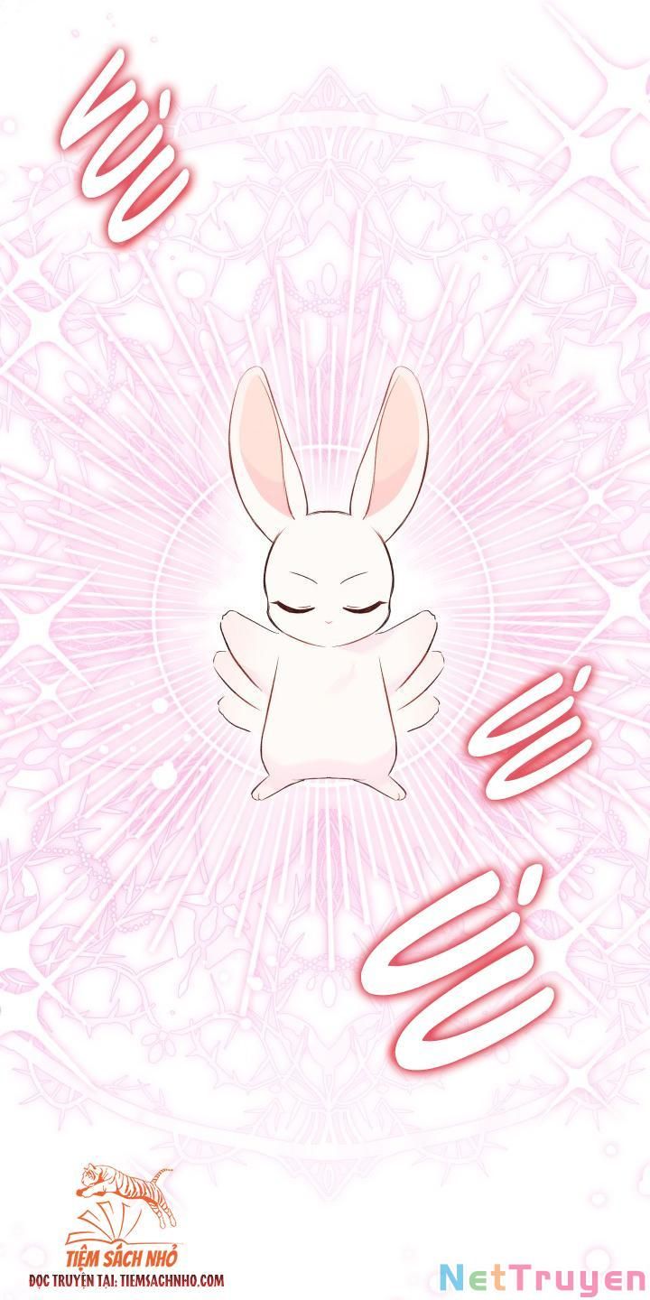 đọc truyện Mối Quan Hệ Cộng Sinh Giữa Báo Đen Và Thỏ Trắng Chương 63 ảnh 7 tại Thiên Thai Truyện