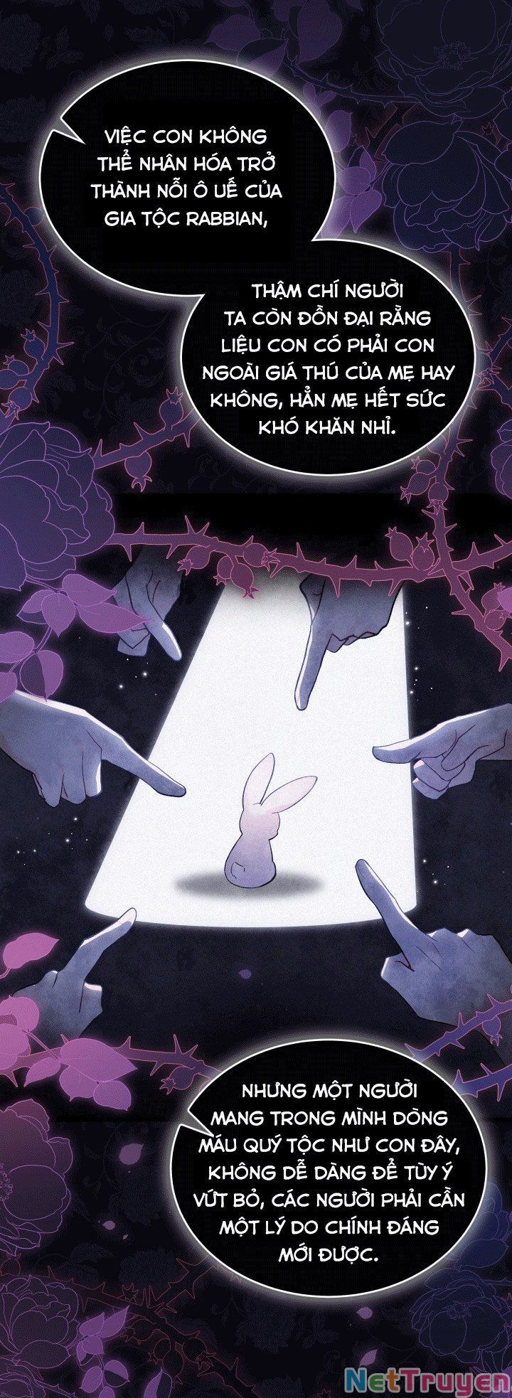 đọc truyện Mối Quan Hệ Cộng Sinh Giữa Báo Đen Và Thỏ Trắng Chương 67 ảnh 35 tại Thiên Thai Truyện