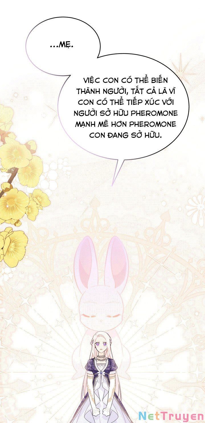 đọc truyện Mối Quan Hệ Cộng Sinh Giữa Báo Đen Và Thỏ Trắng Chương 67 ảnh 53 tại Thiên Thai Truyện