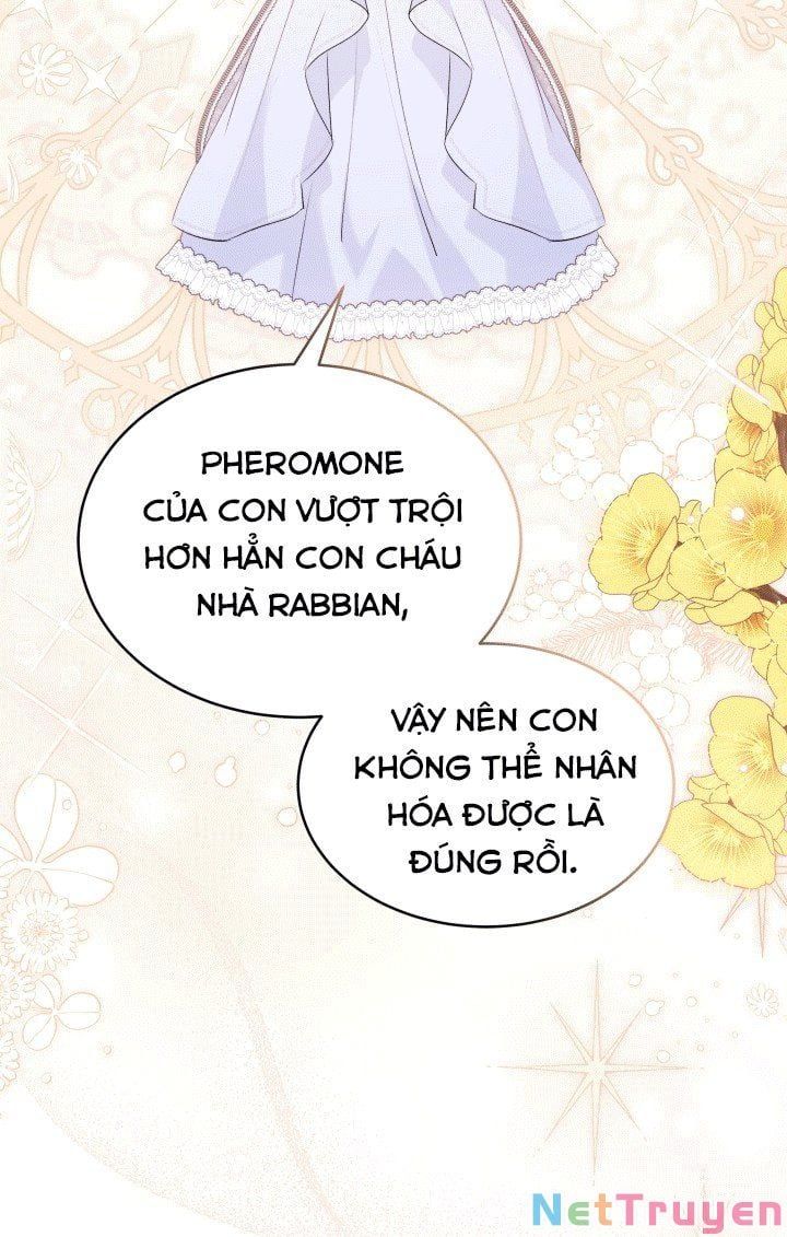 đọc truyện Mối Quan Hệ Cộng Sinh Giữa Báo Đen Và Thỏ Trắng Chương 67 ảnh 54 tại Thiên Thai Truyện