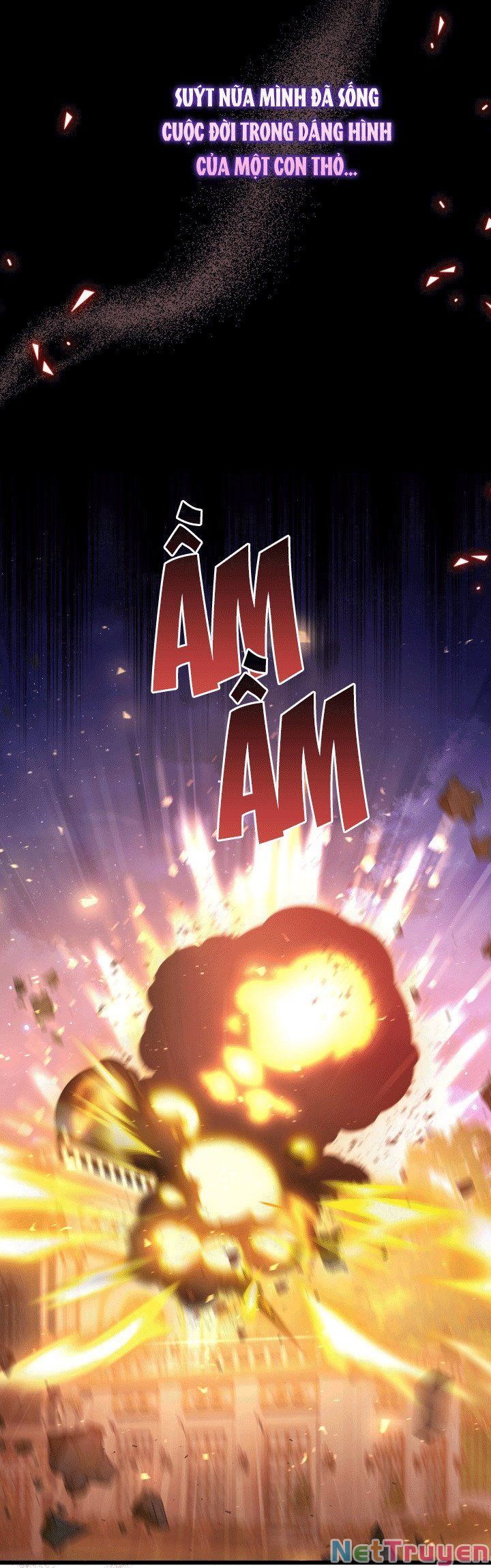 đọc truyện Mối Quan Hệ Cộng Sinh Giữa Báo Đen Và Thỏ Trắng Chương 67 ảnh 63 tại Thiên Thai Truyện