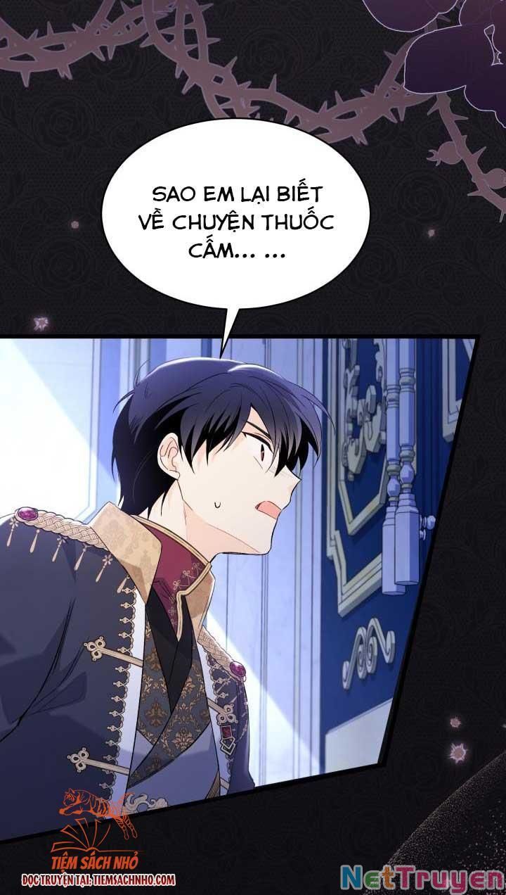 đọc truyện Mối Quan Hệ Cộng Sinh Giữa Báo Đen Và Thỏ Trắng Chương 69 ảnh 25 tại Thiên Thai Truyện