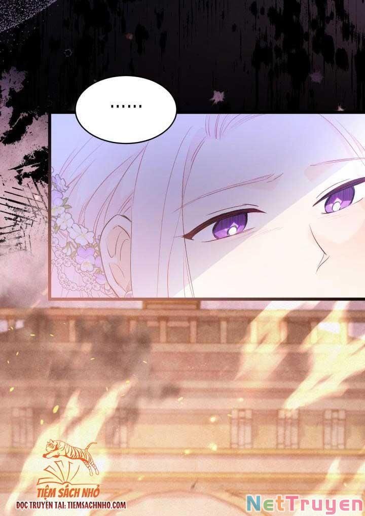 đọc truyện Mối Quan Hệ Cộng Sinh Giữa Báo Đen Và Thỏ Trắng Chương 69 ảnh 29 tại Thiên Thai Truyện