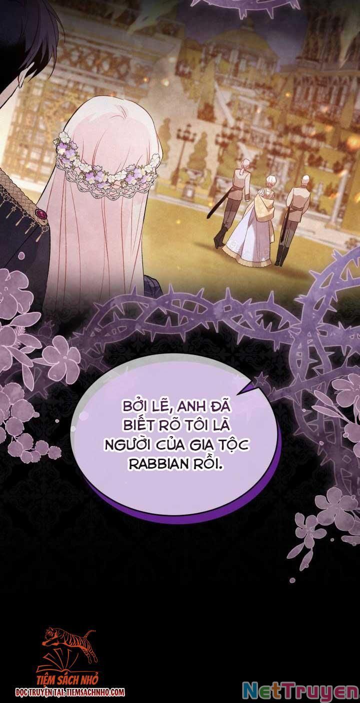 đọc truyện Mối Quan Hệ Cộng Sinh Giữa Báo Đen Và Thỏ Trắng Chương 69 ảnh 32 tại Thiên Thai Truyện