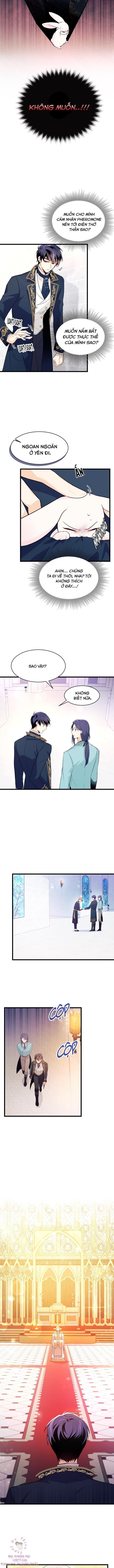 đọc truyện Mối Quan Hệ Cộng Sinh Giữa Báo Đen Và Thỏ Trắng Chương 7 ảnh 4 tại Thiên Thai Truyện