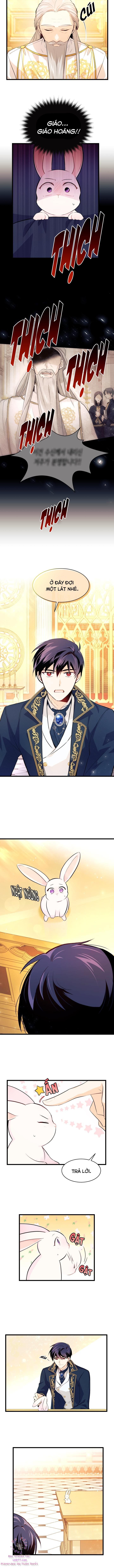 đọc truyện Mối Quan Hệ Cộng Sinh Giữa Báo Đen Và Thỏ Trắng Chương 7 ảnh 5 tại Thiên Thai Truyện