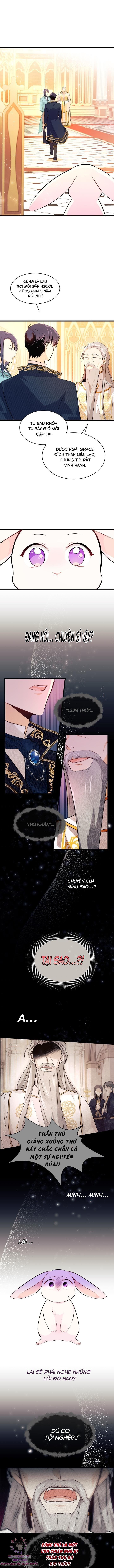 đọc truyện Mối Quan Hệ Cộng Sinh Giữa Báo Đen Và Thỏ Trắng Chương 7 ảnh 6 tại Thiên Thai Truyện