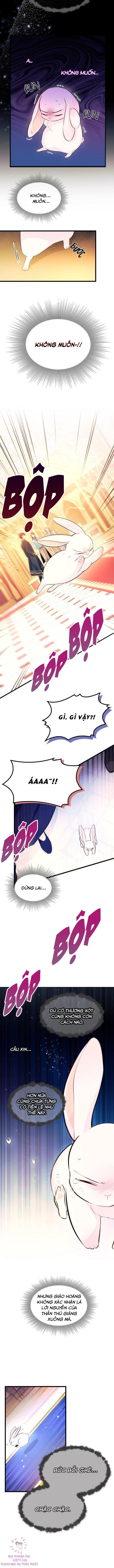 đọc truyện Mối Quan Hệ Cộng Sinh Giữa Báo Đen Và Thỏ Trắng Chương 7 ảnh 7 tại Thiên Thai Truyện