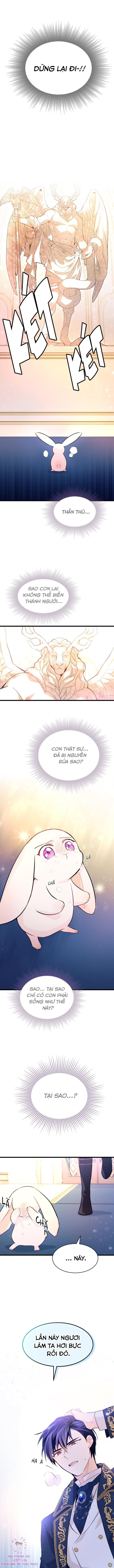 đọc truyện Mối Quan Hệ Cộng Sinh Giữa Báo Đen Và Thỏ Trắng Chương 7 ảnh 8 tại Thiên Thai Truyện