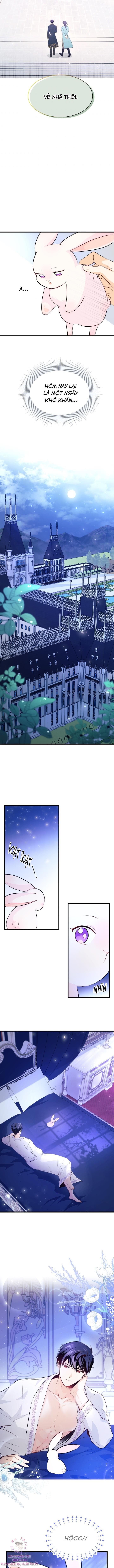 đọc truyện Mối Quan Hệ Cộng Sinh Giữa Báo Đen Và Thỏ Trắng Chương 7 ảnh 11 tại Thiên Thai Truyện