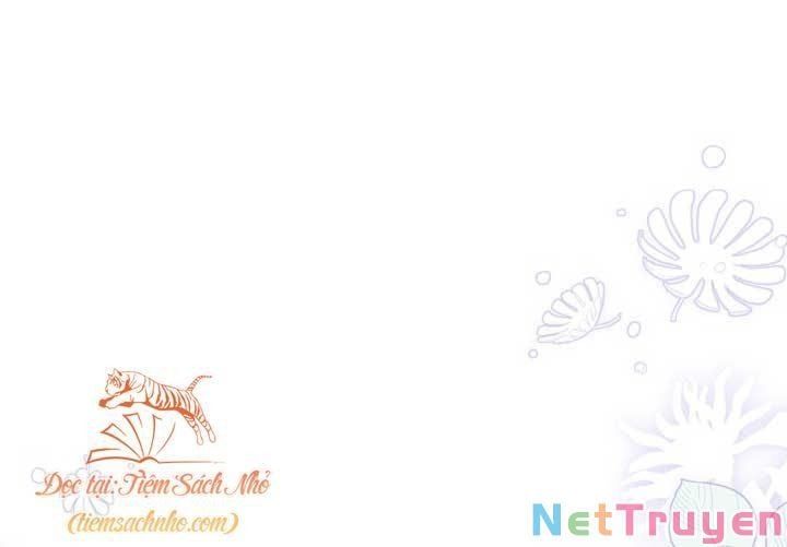 đọc truyện Mối Quan Hệ Cộng Sinh Giữa Báo Đen Và Thỏ Trắng Chương 70 ảnh 38 tại Thiên Thai Truyện