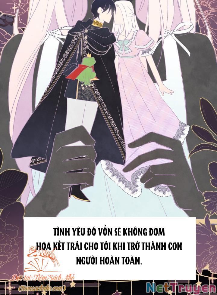 đọc truyện Mối Quan Hệ Cộng Sinh Giữa Báo Đen Và Thỏ Trắng Chương 72 ảnh 22 tại Thiên Thai Truyện