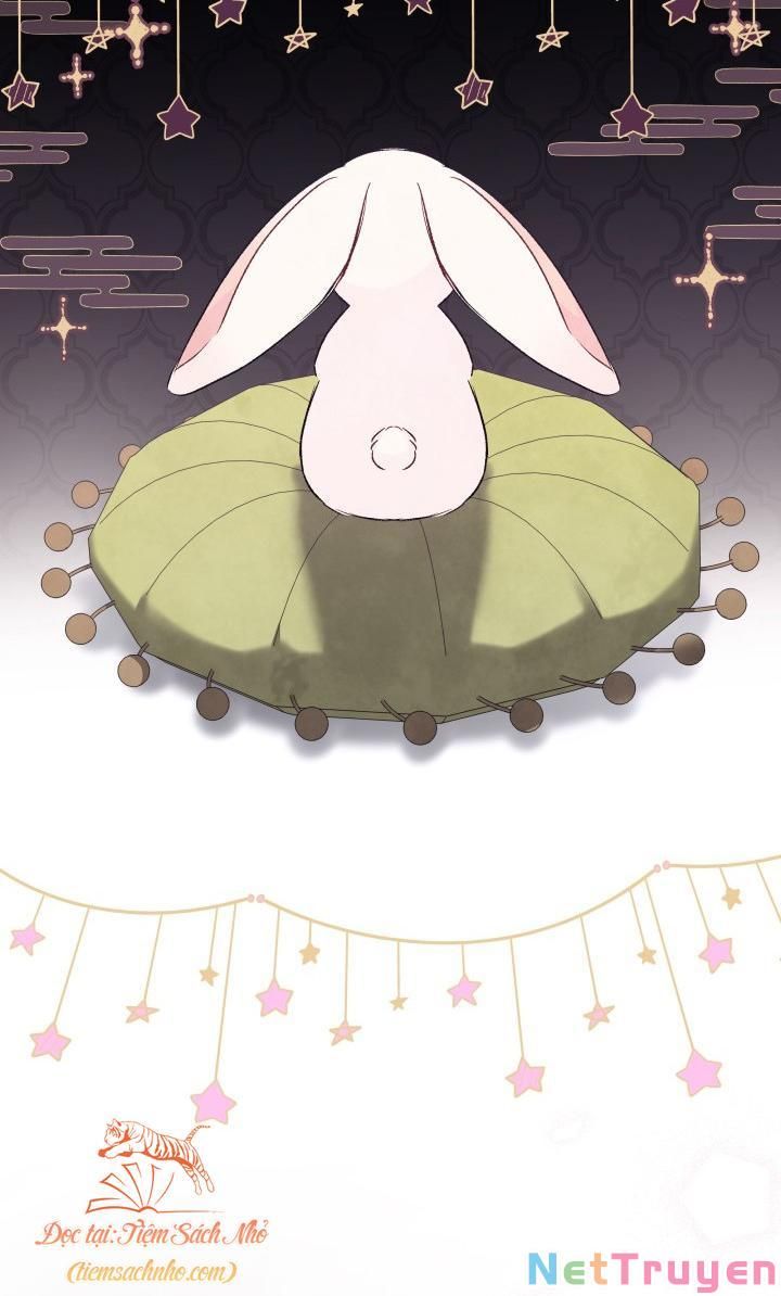 đọc truyện Mối Quan Hệ Cộng Sinh Giữa Báo Đen Và Thỏ Trắng Chương 72 ảnh 23 tại Thiên Thai Truyện