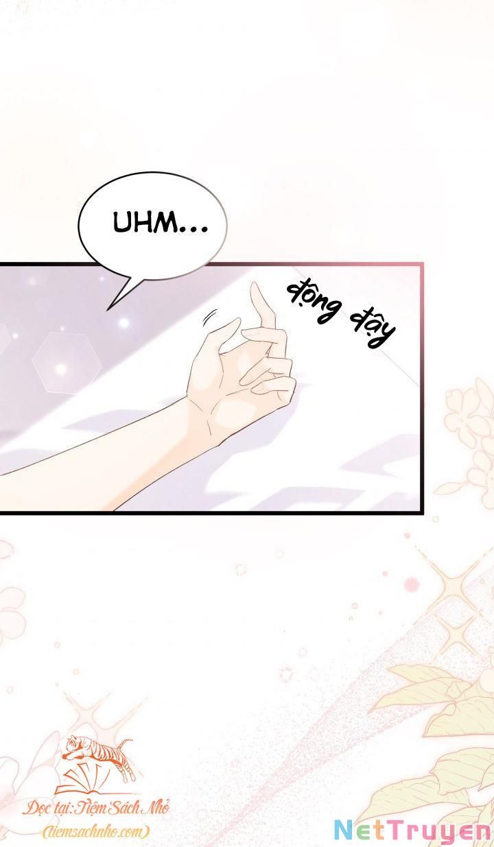 đọc truyện Mối Quan Hệ Cộng Sinh Giữa Báo Đen Và Thỏ Trắng Chương 72 ảnh 7 tại Thiên Thai Truyện