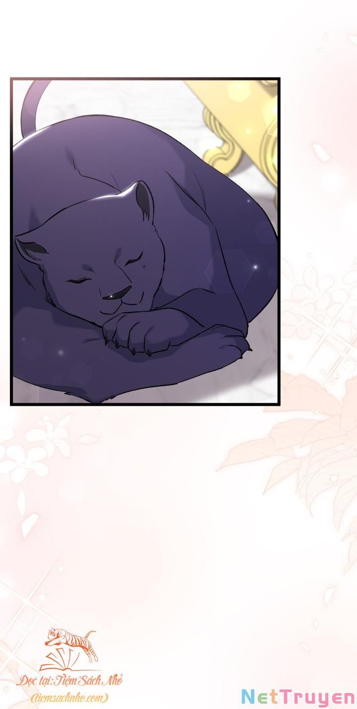 đọc truyện Mối Quan Hệ Cộng Sinh Giữa Báo Đen Và Thỏ Trắng Chương 72 ảnh 61 tại Thiên Thai Truyện