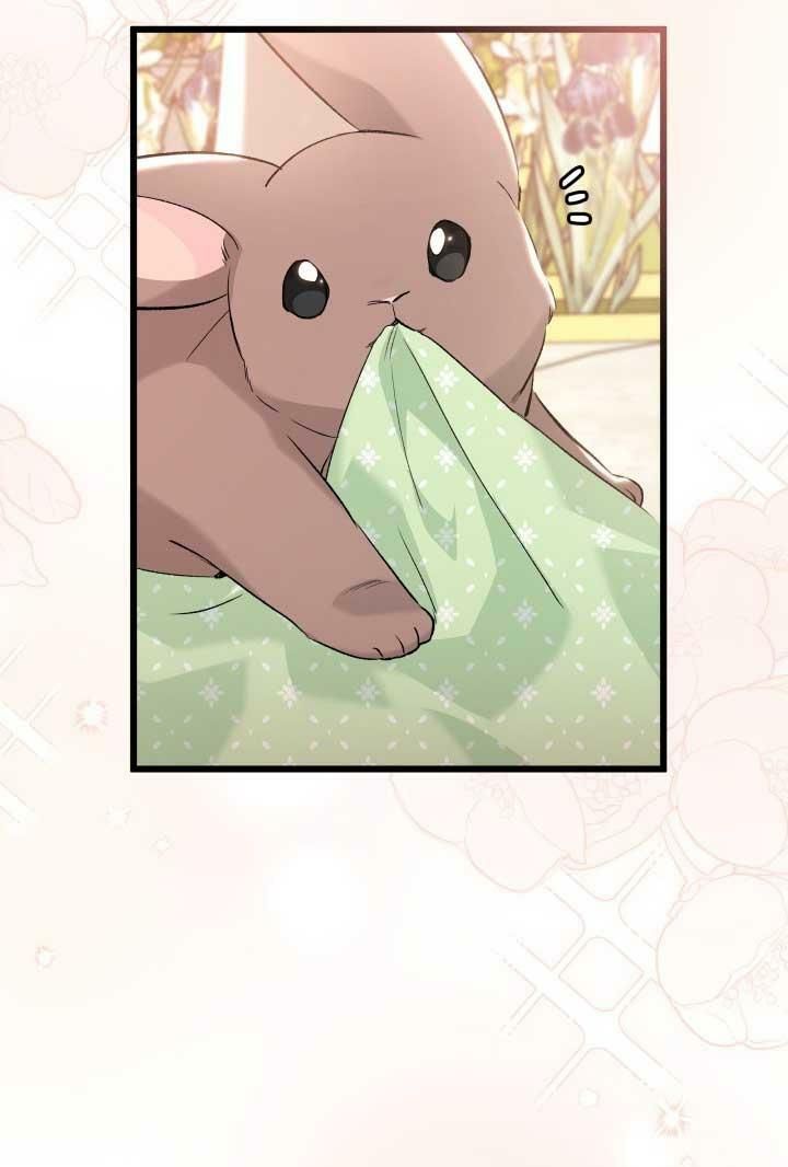 đọc truyện Mối Quan Hệ Cộng Sinh Giữa Báo Đen Và Thỏ Trắng Chương 75 ảnh 84 tại Thiên Thai Truyện