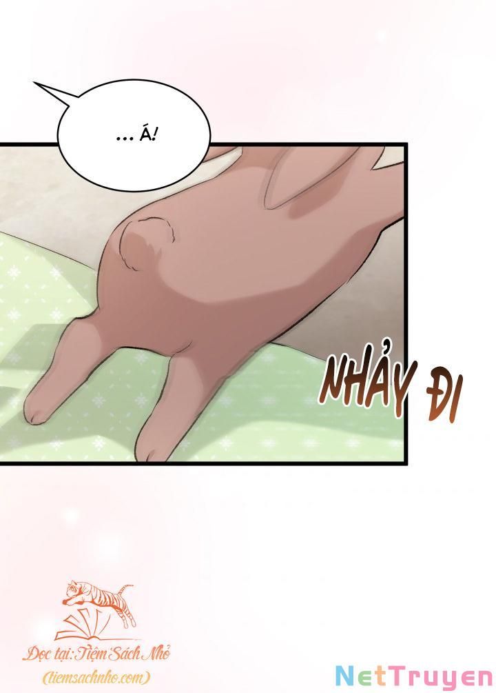 đọc truyện Mối Quan Hệ Cộng Sinh Giữa Báo Đen Và Thỏ Trắng Chương 76 ảnh 23 tại Thiên Thai Truyện