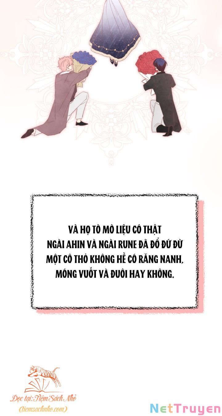 đọc truyện Mối Quan Hệ Cộng Sinh Giữa Báo Đen Và Thỏ Trắng Chương 76 ảnh 59 tại Thiên Thai Truyện