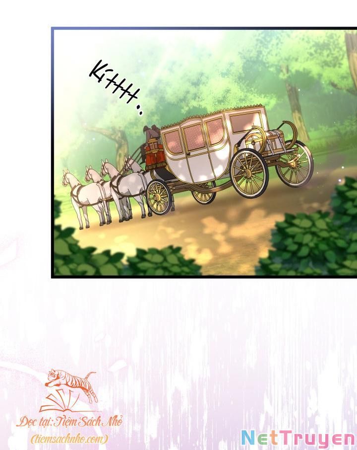 đọc truyện Mối Quan Hệ Cộng Sinh Giữa Báo Đen Và Thỏ Trắng Chương 79 ảnh 69 tại Thiên Thai Truyện