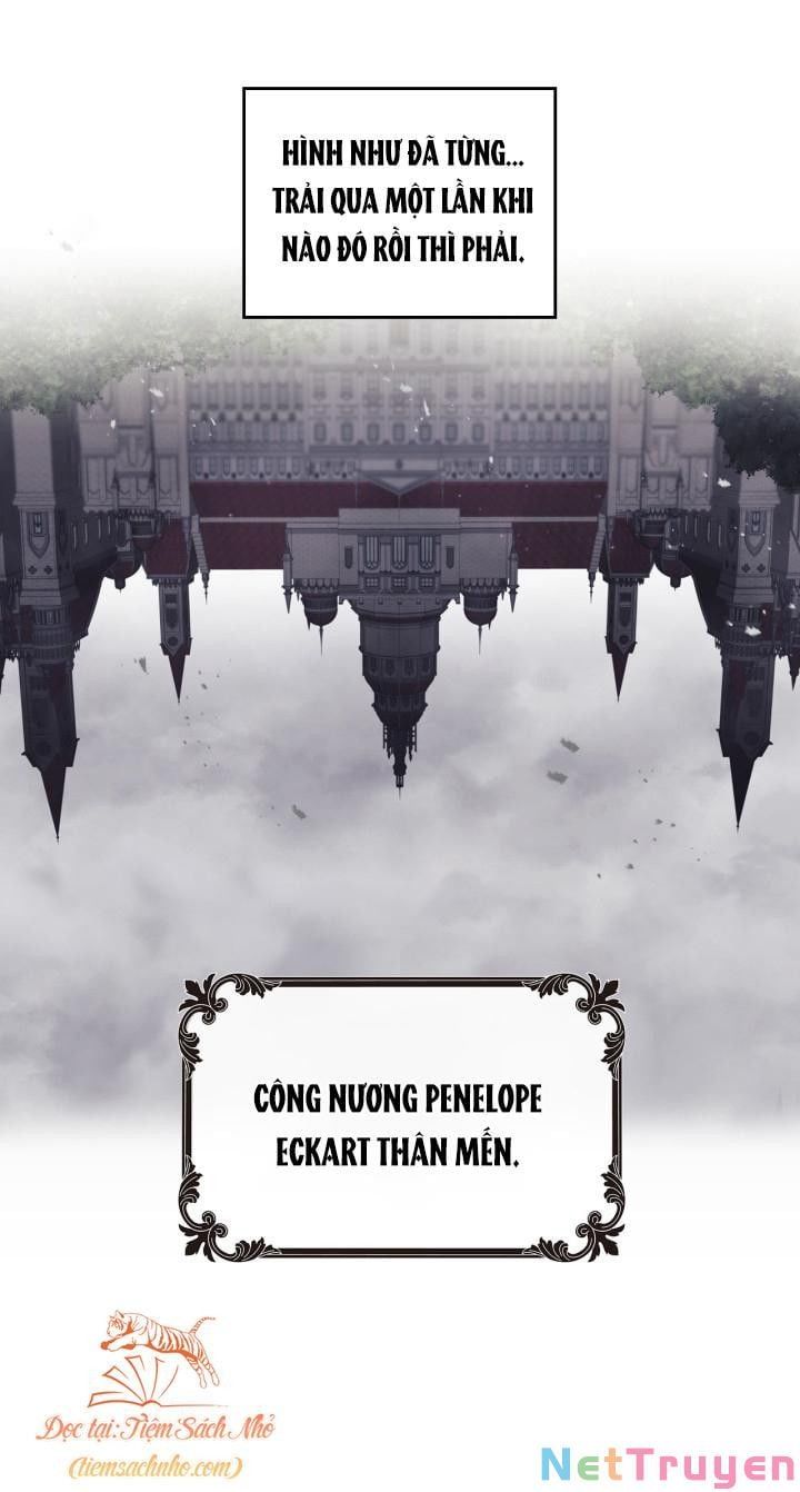 đọc truyện Mối Quan Hệ Cộng Sinh Giữa Báo Đen Và Thỏ Trắng Chương 79 ảnh 95 tại Thiên Thai Truyện