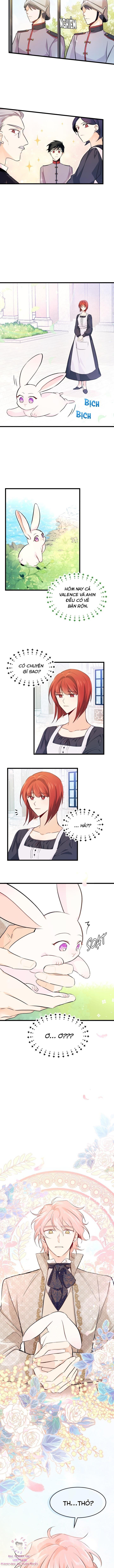 đọc truyện Mối Quan Hệ Cộng Sinh Giữa Báo Đen Và Thỏ Trắng Chương 8 ảnh 12 tại Thiên Thai Truyện