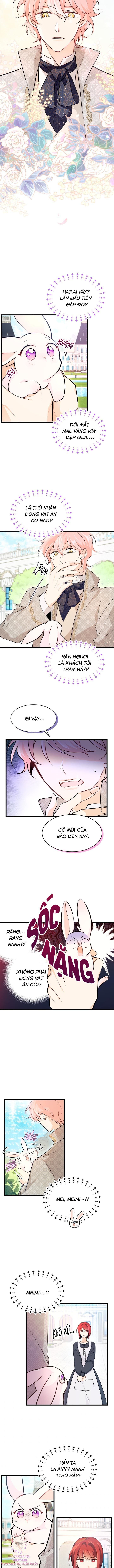 đọc truyện Mối Quan Hệ Cộng Sinh Giữa Báo Đen Và Thỏ Trắng Chương 8 ảnh 13 tại Thiên Thai Truyện