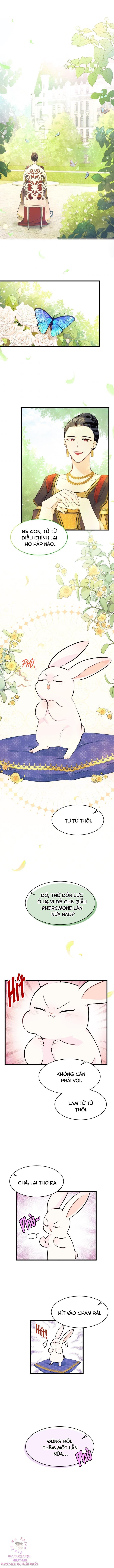 đọc truyện Mối Quan Hệ Cộng Sinh Giữa Báo Đen Và Thỏ Trắng Chương 8 ảnh 6 tại Thiên Thai Truyện