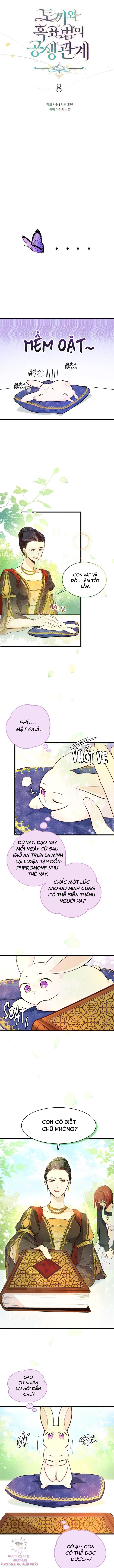 đọc truyện Mối Quan Hệ Cộng Sinh Giữa Báo Đen Và Thỏ Trắng Chương 8 ảnh 7 tại Thiên Thai Truyện