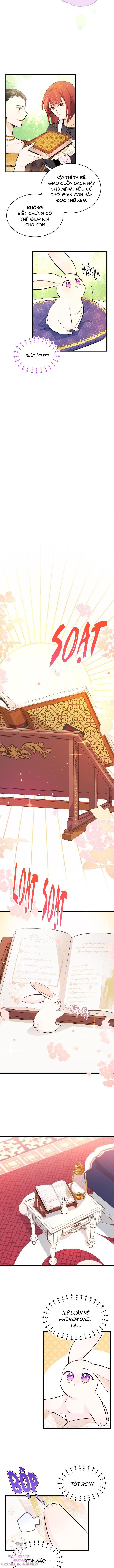 đọc truyện Mối Quan Hệ Cộng Sinh Giữa Báo Đen Và Thỏ Trắng Chương 8 ảnh 8 tại Thiên Thai Truyện