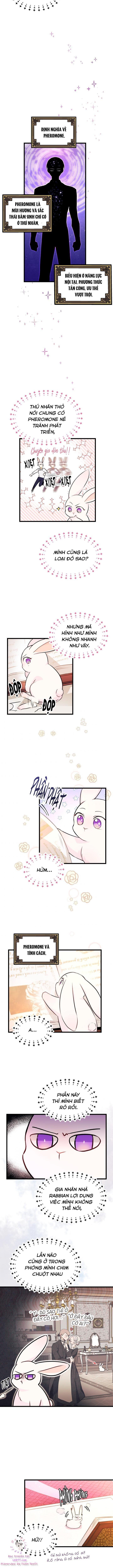 đọc truyện Mối Quan Hệ Cộng Sinh Giữa Báo Đen Và Thỏ Trắng Chương 8 ảnh 9 tại Thiên Thai Truyện