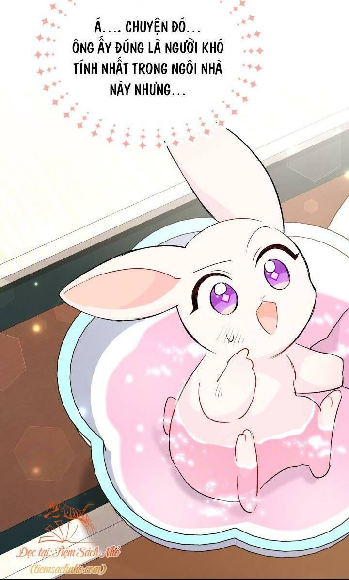 đọc truyện Mối Quan Hệ Cộng Sinh Giữa Báo Đen Và Thỏ Trắng Chương 84 ảnh 26 tại Thiên Thai Truyện