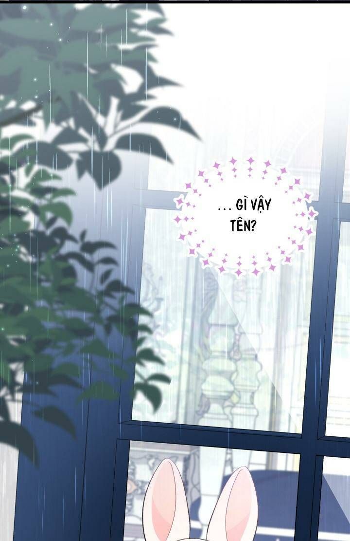 đọc truyện Mối Quan Hệ Cộng Sinh Giữa Báo Đen Và Thỏ Trắng Chương 84 ảnh 71 tại Thiên Thai Truyện