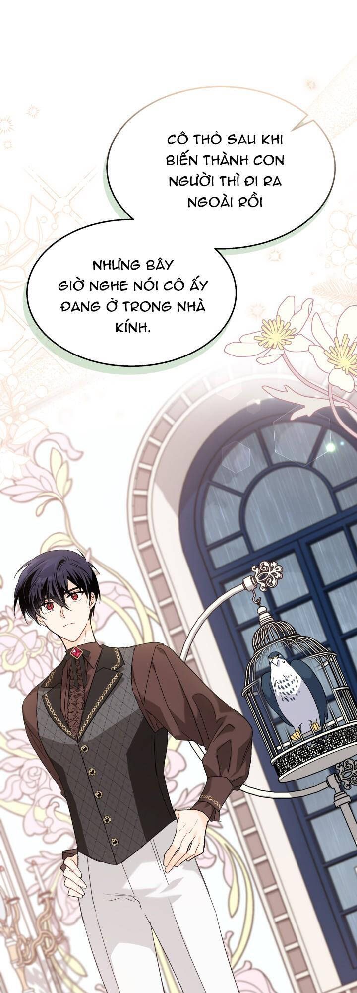 đọc truyện Mối Quan Hệ Cộng Sinh Giữa Báo Đen Và Thỏ Trắng Chương 86 ảnh 40 tại Thiên Thai Truyện