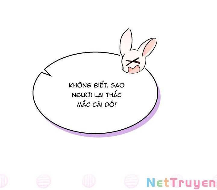 đọc truyện Mối Quan Hệ Cộng Sinh Giữa Báo Đen Và Thỏ Trắng Chương 91 ảnh 27 tại Thiên Thai Truyện