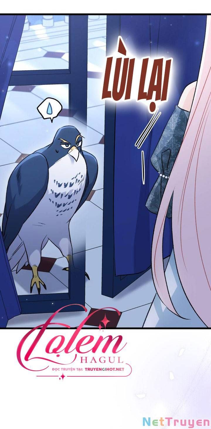 đọc truyện Mối Quan Hệ Cộng Sinh Giữa Báo Đen Và Thỏ Trắng Chương 91 ảnh 61 tại Thiên Thai Truyện