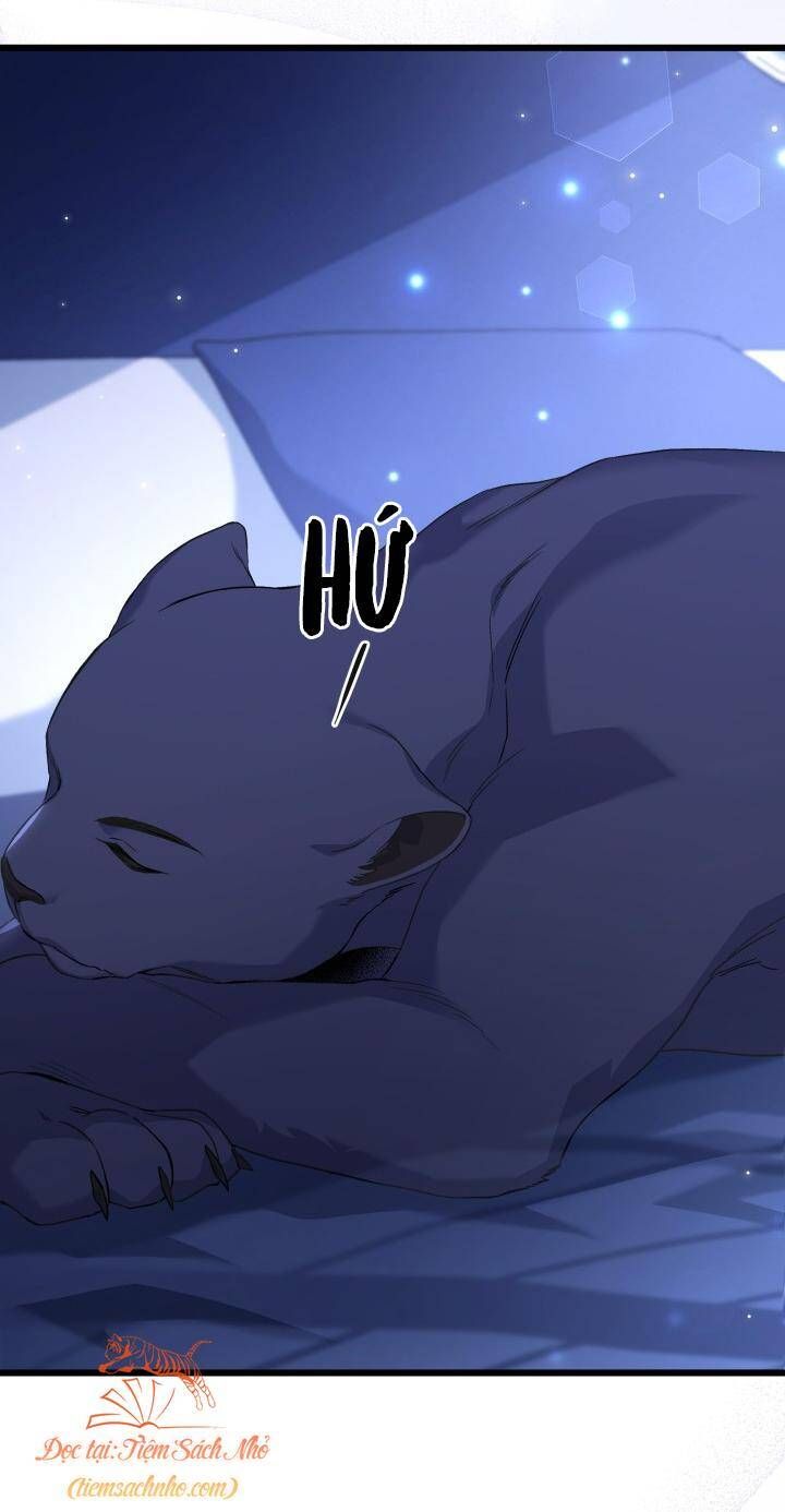 đọc truyện Mối Quan Hệ Cộng Sinh Giữa Báo Đen Và Thỏ Trắng Chương 92 ảnh 13 tại Thiên Thai Truyện