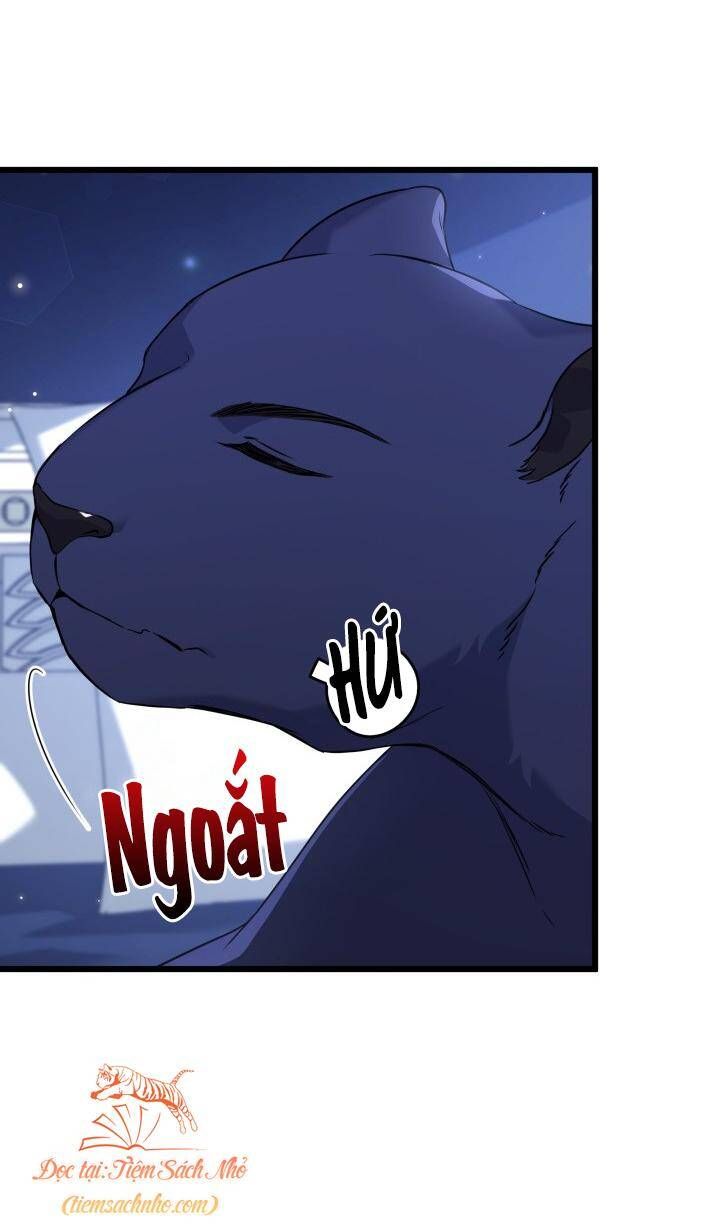 đọc truyện Mối Quan Hệ Cộng Sinh Giữa Báo Đen Và Thỏ Trắng Chương 92 ảnh 23 tại Thiên Thai Truyện