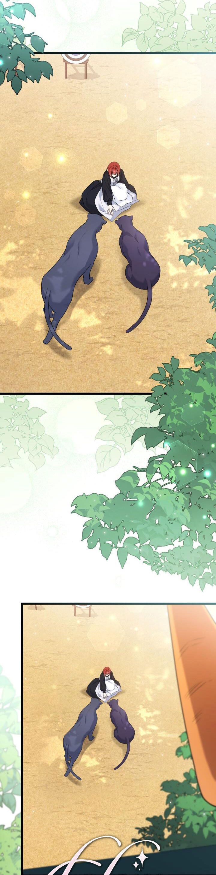 đọc truyện Mối Quan Hệ Cộng Sinh Giữa Báo Đen Và Thỏ Trắng Chương 98 ảnh 15 tại Thiên Thai Truyện