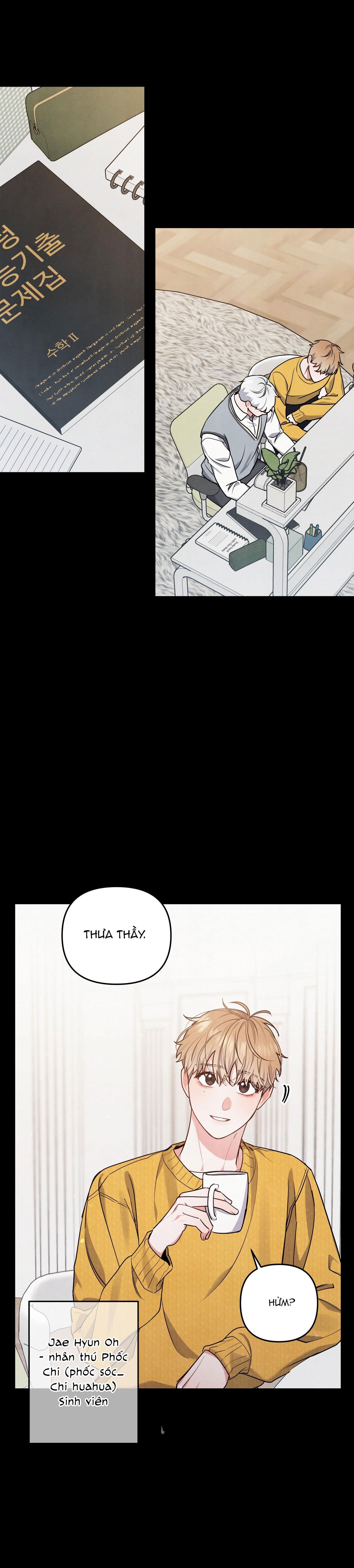 đọc truyện Mối Quan Hệ Ngu Ngốc Chương 21 ảnh 14 tại Thiên Thai Truyện