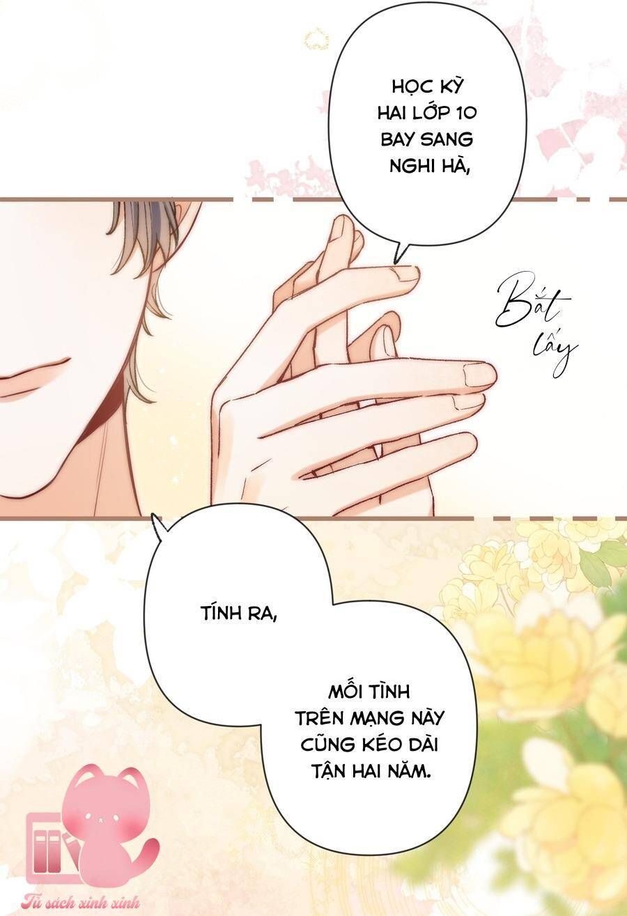 đọc truyện Mối Tình Thầm Kín Chương 118 ảnh 12 tại Thiên Thai Truyện