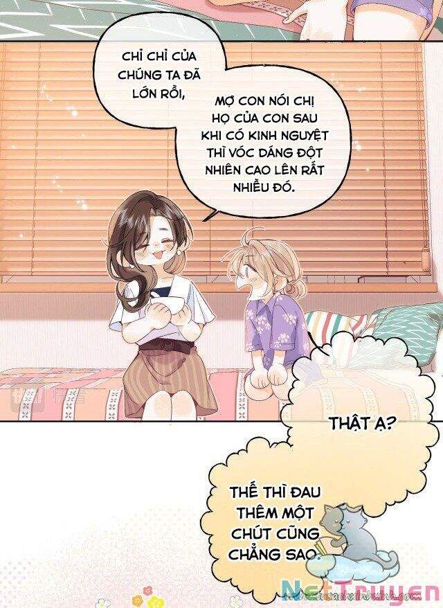đọc truyện Mối Tình Thầm Kín Chương 19 ảnh 6 tại Thiên Thai Truyện