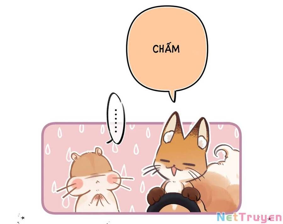 đọc truyện Mối Tình Thầm Kín Chương 75.1 ảnh 11 tại Thiên Thai Truyện