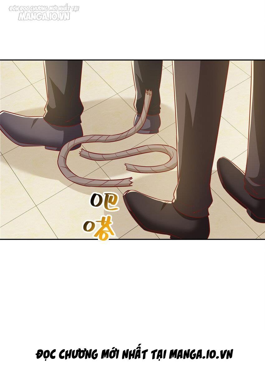 đọc truyện Mỗi Tuần Ta Có Một Nghề Nghiệp Mới Chương 513 ảnh 23 tại Thiên Thai Truyện