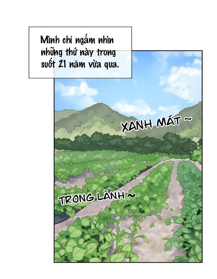 đọc truyện Món Đồ Chơi Thần Kỳ Của Vargoth Chương 1 ảnh 13 tại Thiên Thai Truyện