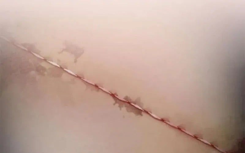 đọc truyện Một Anh Hùng Giỏi Mọi Thứ Chương 59 ảnh 226 tại Thiên Thai Truyện